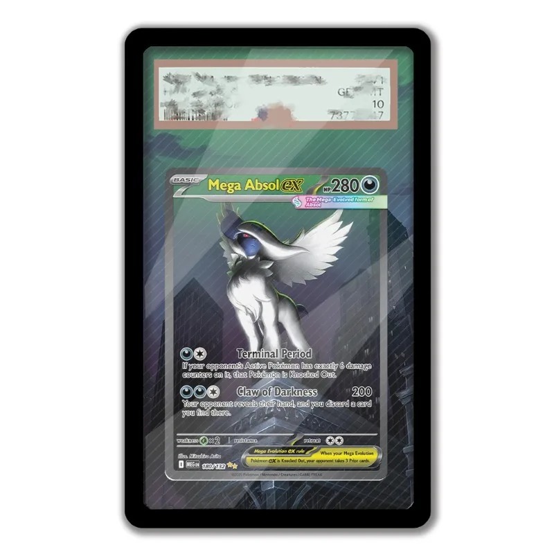 Art Display for Pokemon MegaAb – Anime Merchandise From Japan Bewertung und Preis